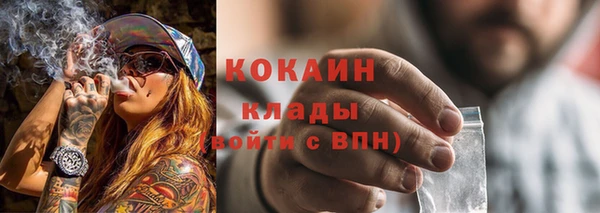 шишки Липки