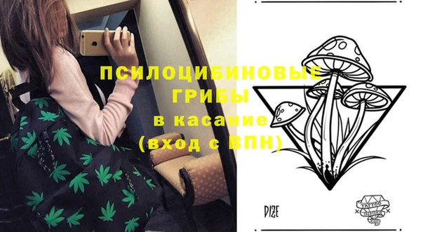 шишки Липки
